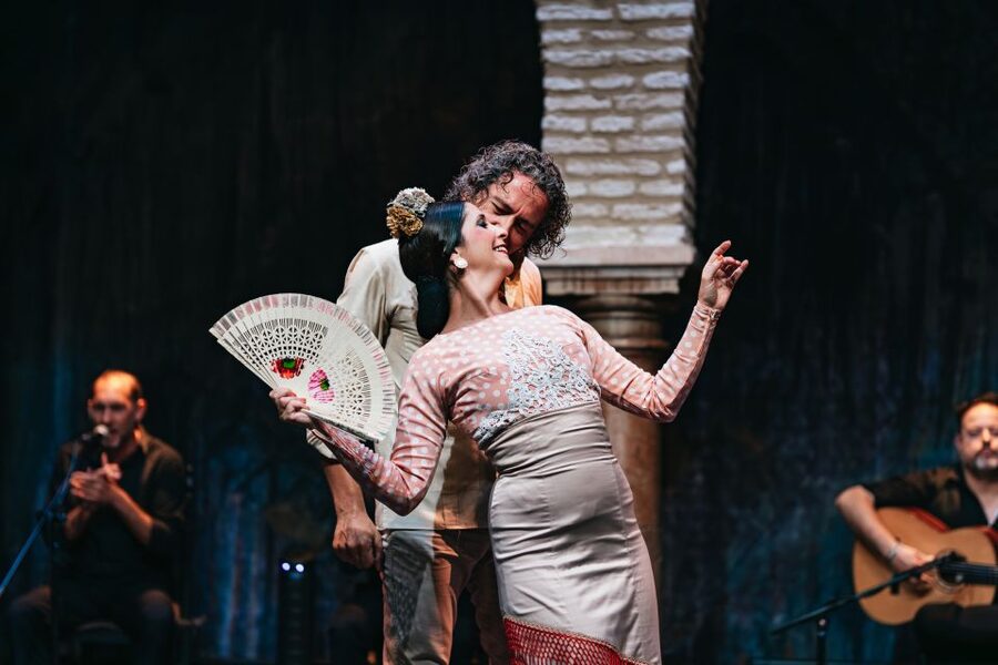 Seville: Puro Flamenco Show with Optional Museum Ticket - Getting to the Museo del Baile Flamenco in Santa Cruz