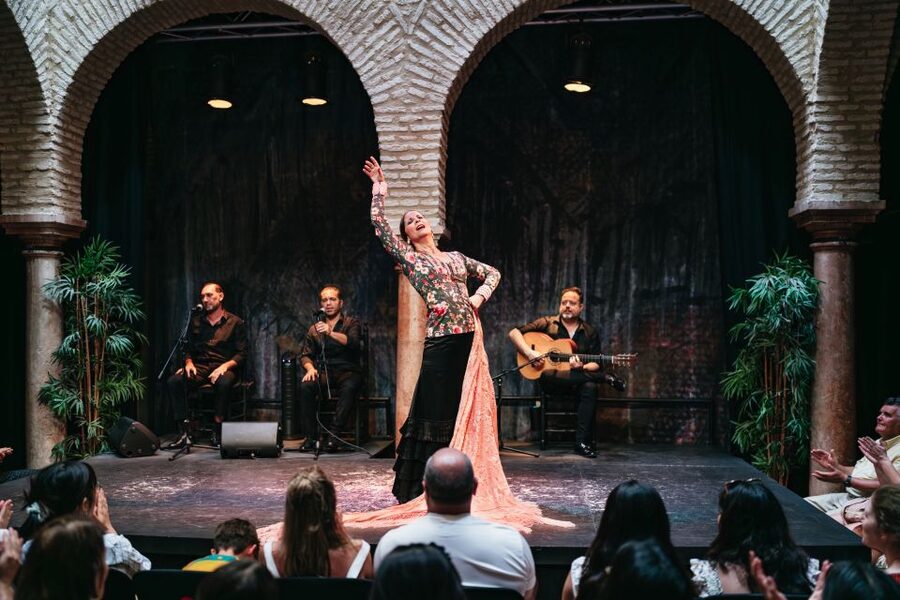 Seville: Puro Flamenco Show with Optional Museum Ticket - What happens in the 1-hour Puro Flamenco show