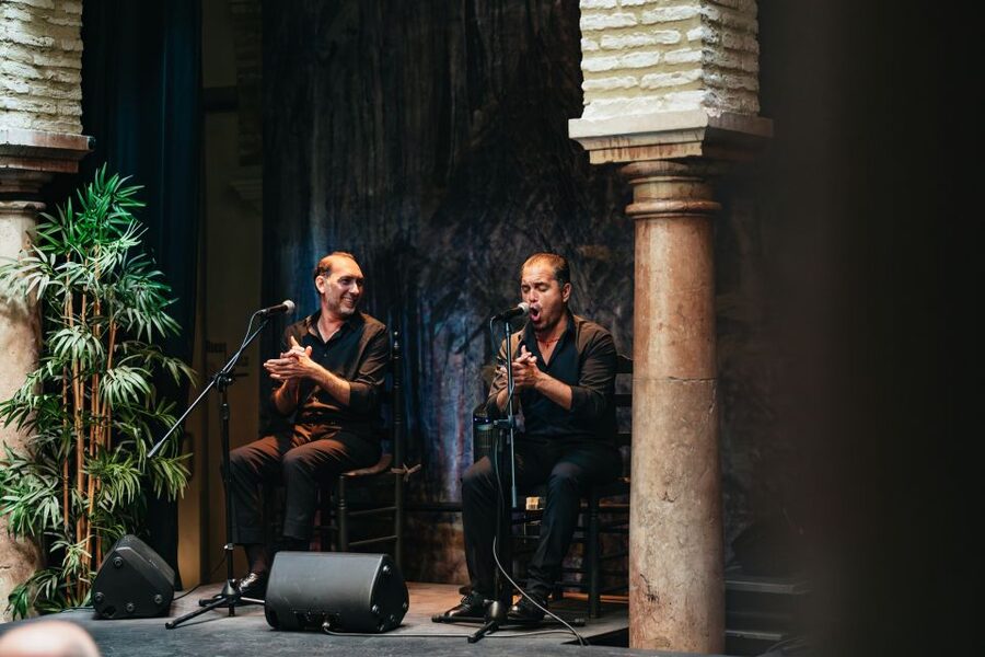 Seville: Puro Flamenco Show with Optional Museum Ticket - Musicians, singing, and the rhythm you can track