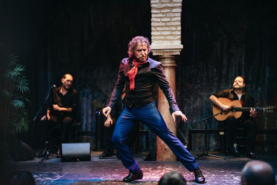 Seville: Puro Flamenco Show with Optional Museum Ticket - Optional museum ticket: what you gain and what to watch for