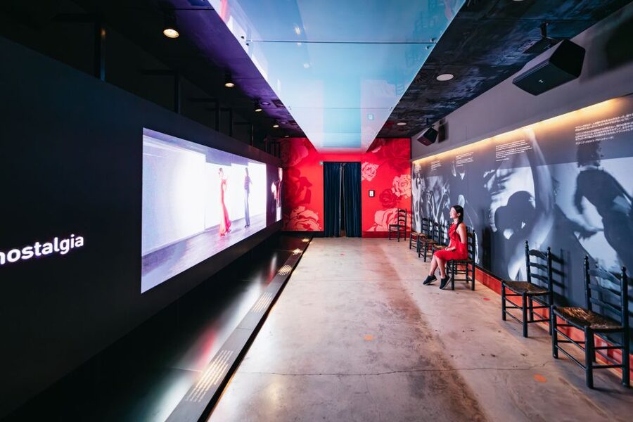 Seville: Puro Flamenco Show with Optional Museum Ticket - Seating reality: first come, first served in a small room