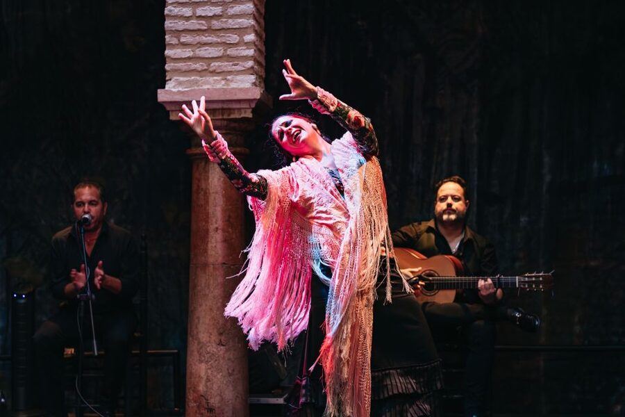 Seville: Puro Flamenco Show with Optional Museum Ticket - Noise level and who this show fits best