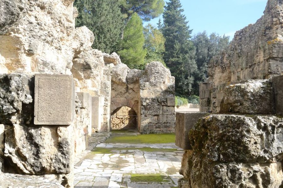 Seville: Roman City of Itálica 2 Hour Tour - Entering Itálica through the emperor lens: Trajan and Hadrian