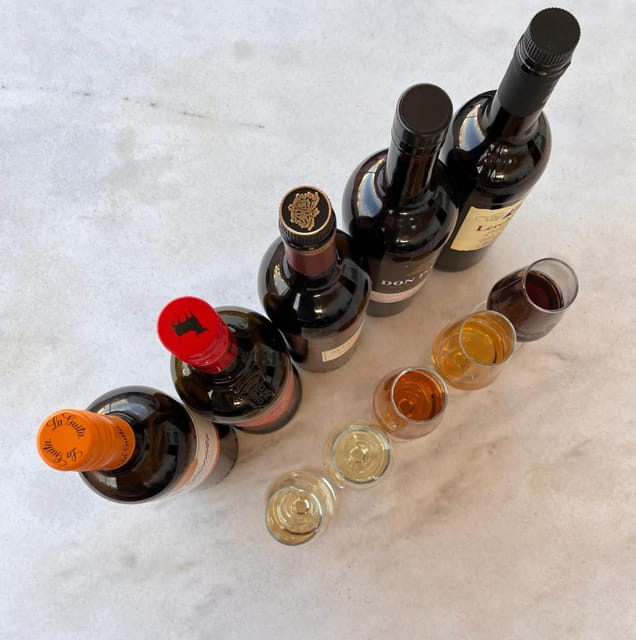 Seville: Sherry Wine Tasting with Light Snacks - Key highlights you will feel immediately
