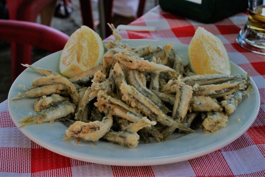 Seville: Tapas and Flamenco Experience - Triana Meets Tablao Flamenco Almoraima: The Night’s Layout