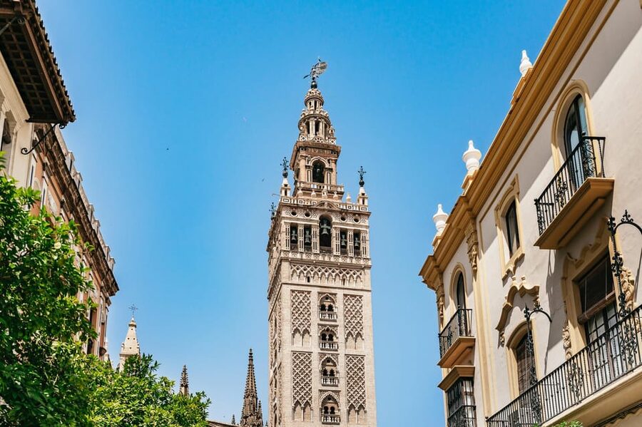 Seville: Tapas, Taverns and History Guided Walking Tour - Drinks to expect: vermouth, orange wine, manzanilla, and possible variations