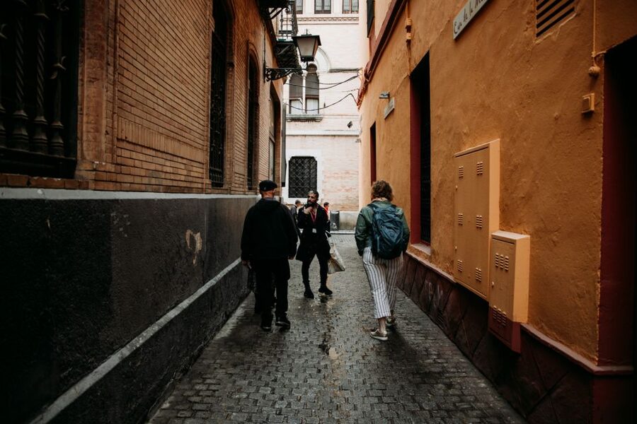 Seville: Tapas, Taverns, and History Walking Tour - Drinks pairing and what to expect beyond soda and shortcuts