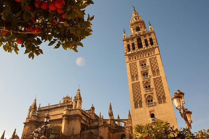 Seville: The City’s Top Highlights - Plaza de España: The Tile Field Trip and the Views You Came For