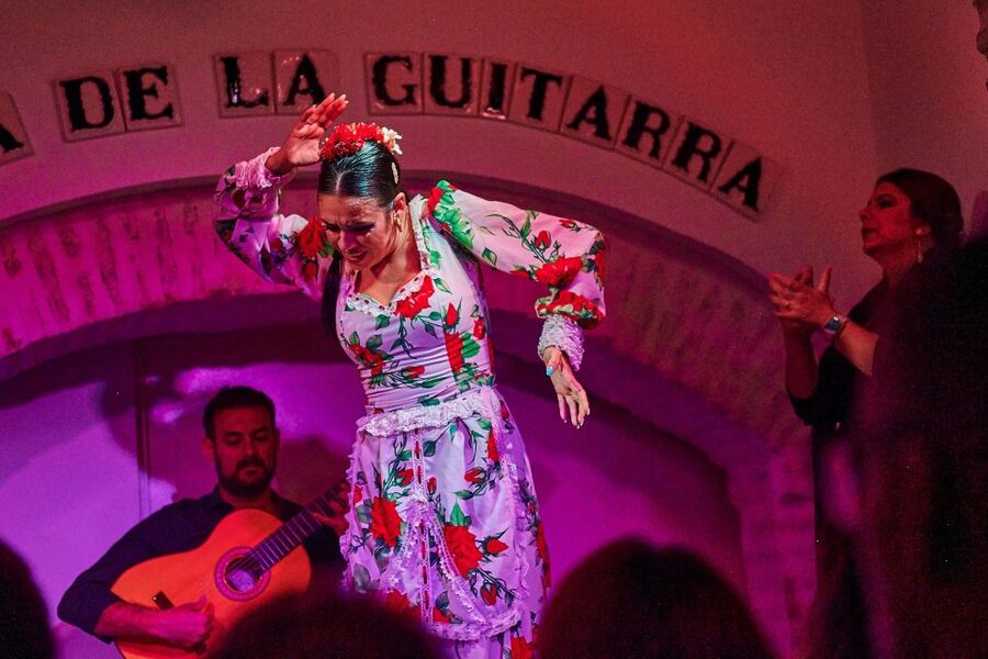 Seville: Ticket to Flamenco Show at La Casa de la Guitarra - Price and Value: Is $23 a Good Deal?