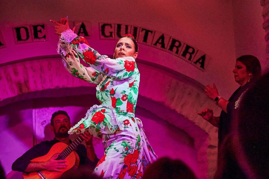 Seville: Ticket to Flamenco Show at La Casa de la Guitarra - Should You Book La Casa de la Guitarra in Seville?