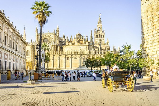 Seville Tour with Alcazar, Cathedral and Giralda from Granada - Why a Granada to Seville day trip actually works