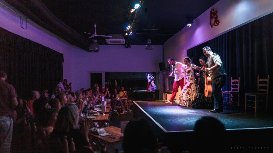 Seville: Traditional Flamenco Show in Triana - The One-Hour Show Flow: Guitar Start, Vocals, Dance, and Finale