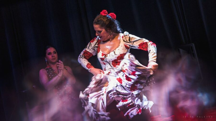Seville: Traditional Flamenco Show in Triana - Meet the Performers: What Each Role Brings to the Story