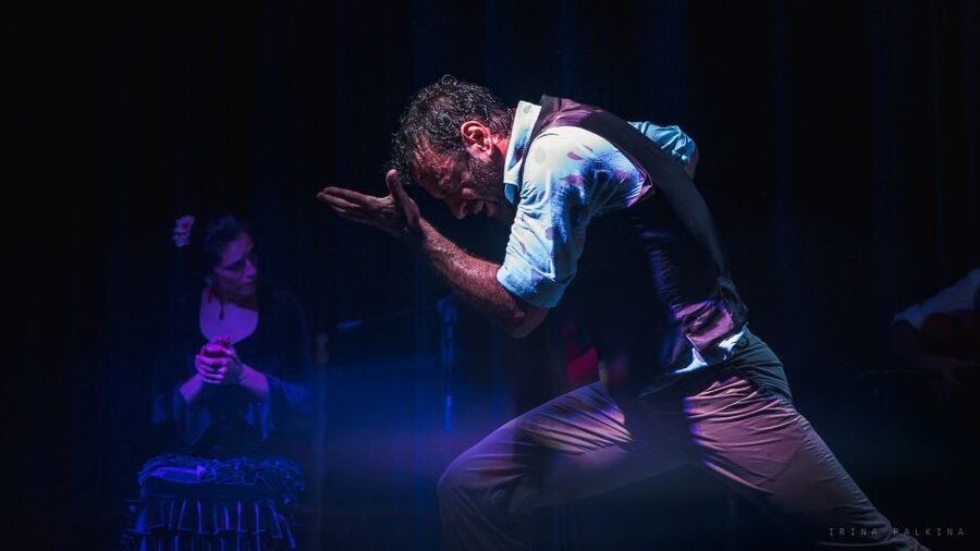 Seville: Traditional Flamenco Show in Triana - Price and Value: What You Get for Around $26 in One Hour