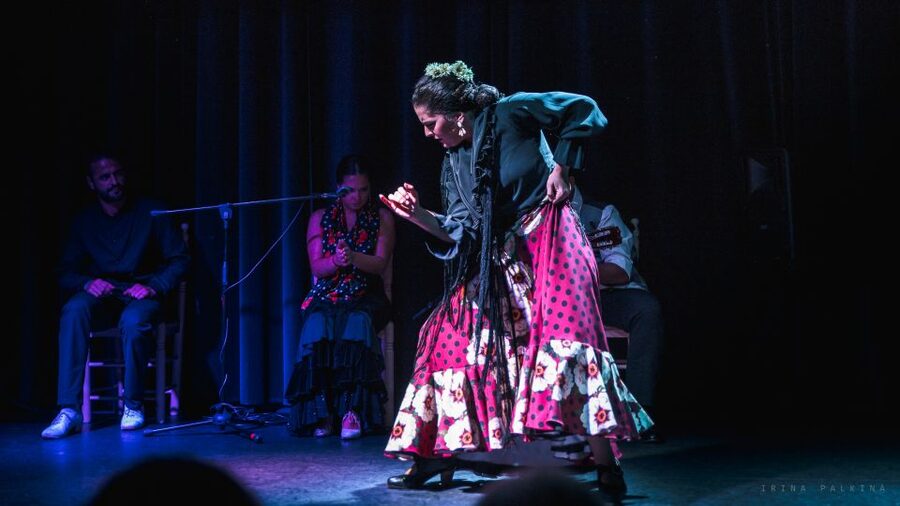 Seville: Traditional Flamenco Show in Triana - Practical Tips So You Enjoy Every Minute (Even If You Hate Waiting)