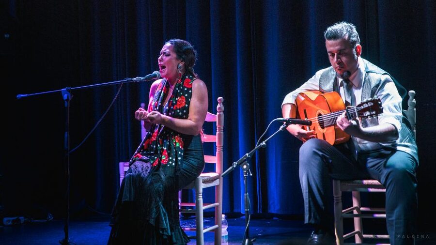 Seville: Traditional Flamenco Show in Triana - Who Should Book This Flamenco Night in Triana?