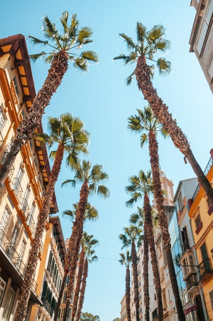Seville: Transfer to Málaga with visit to Ronda - Key points worth knowing before you go