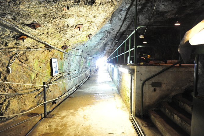 SHORE EXCURSION 3hrs Tunnel Tour - La Alameda Gardens and Pillars of Hercules: a breather with meaning
