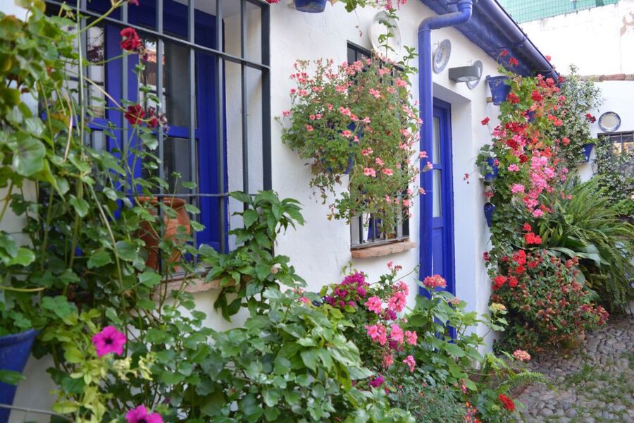 Sights, Sounds, and Scents of Córdoba's Patios - Santa Agustín and San Lorenzo: the neighborhoods behind the flowers
