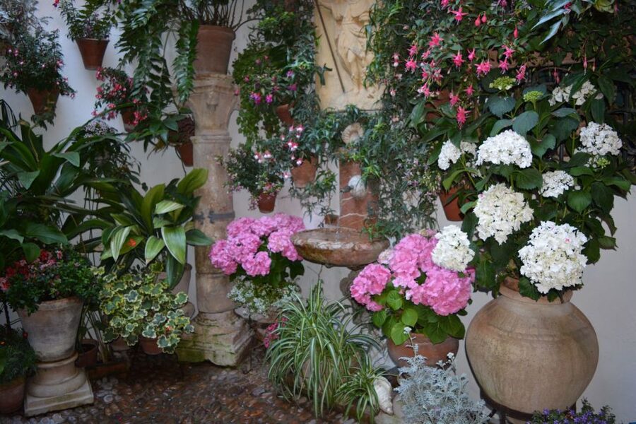 Sights, Sounds, and Scents of Córdoba's Patios - The patio stroll pace: 2.5 hours, 8 to 12 stops, and how to enjoy it