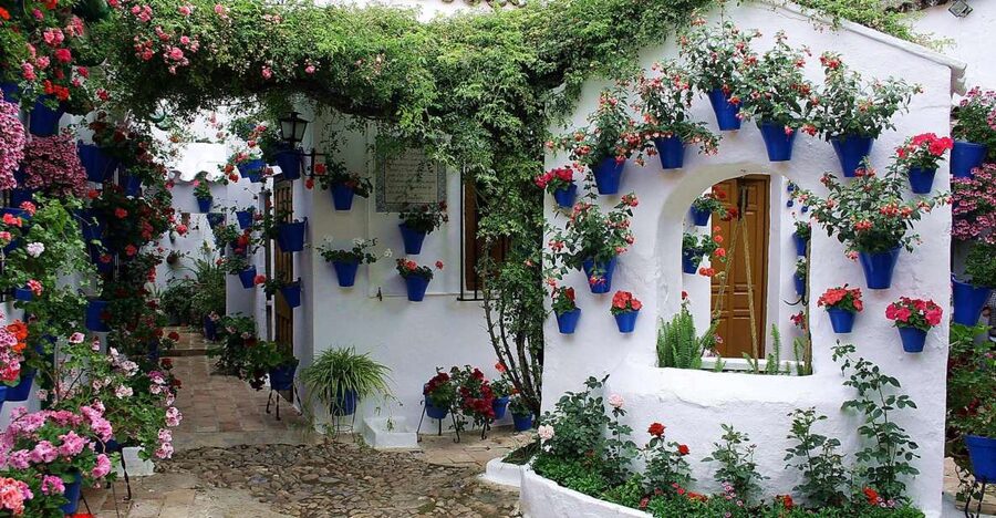 Sights, Sounds, and Scents of Córdoba's Patios - Price and value: what you’re really paying for
