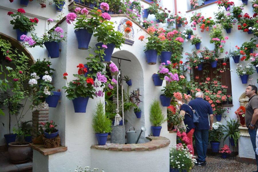Sights, Sounds, and Scents of Córdoba's Patios - The kind of guide experience to expect