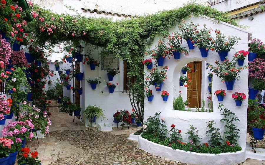 Sights, Sounds, and Scents of Córdoba's Patios - Starting at Monumento a Manolete, then heading into Santa Marina
