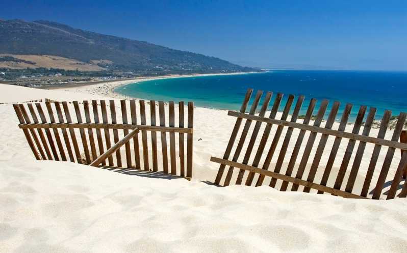 Spain's Best Beaches: Day-Trip from Seville - Breakfast and lunch: what’s included, what you choose