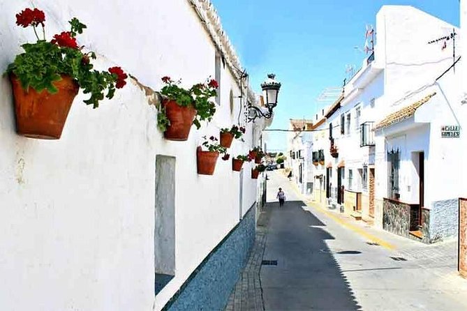 Spend a day in the White Villages from Cadiz - Setenil de las Bodegas: when the rock is the architecture