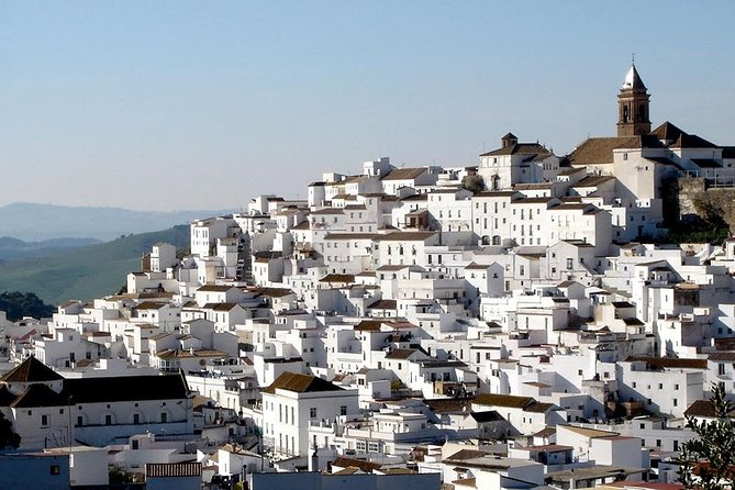 Spend a day in the White Villages from Cadiz - Ubrique and the Pinsapos forest edge: nature plus craft