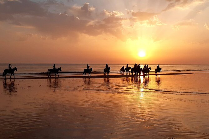 Stunning Sundown Beach Ride on horseback! MINIMUM 2 PARTICIPANTS - Key highlights I’d plan my evening around