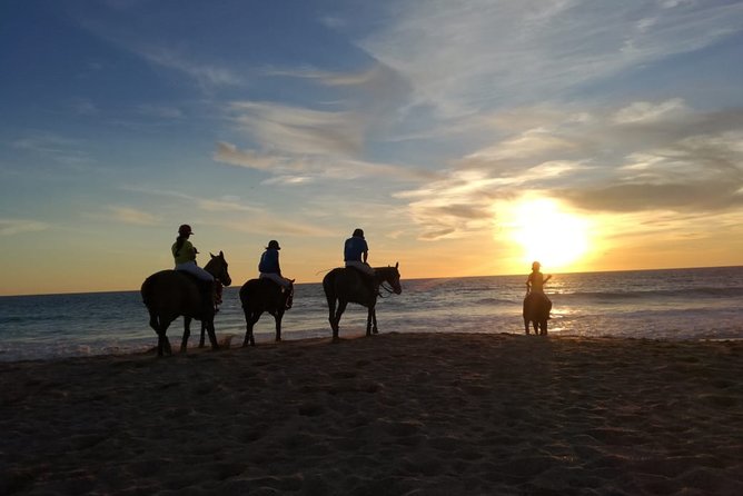 Stunning Sundown Beach Ride on horseback! MINIMUM 2 PARTICIPANTS - The hour-long ride to Playa Mangueta and back