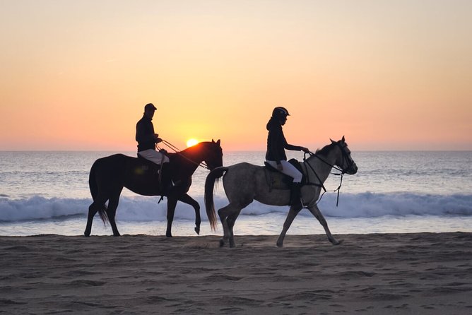 Stunning Sundown Beach Ride on horseback! MINIMUM 2 PARTICIPANTS - Horses, safety, and how to keep things smooth