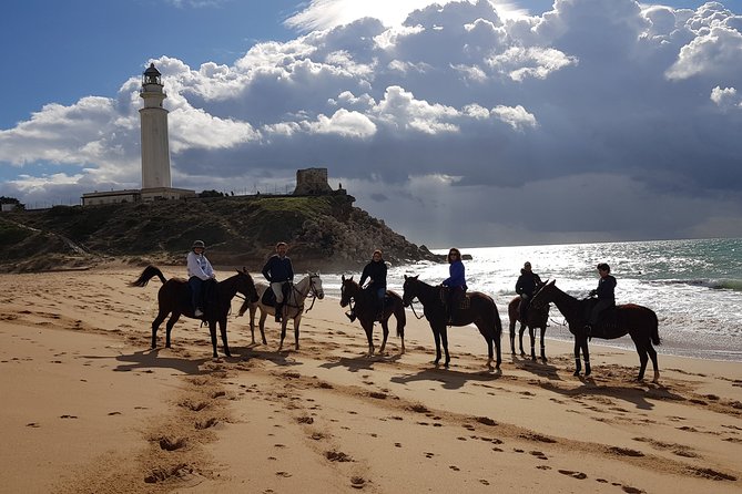 Stunning Sundown Beach Ride on horseback! MINIMUM 2 PARTICIPANTS - Price and value: what $67.88 buys you here