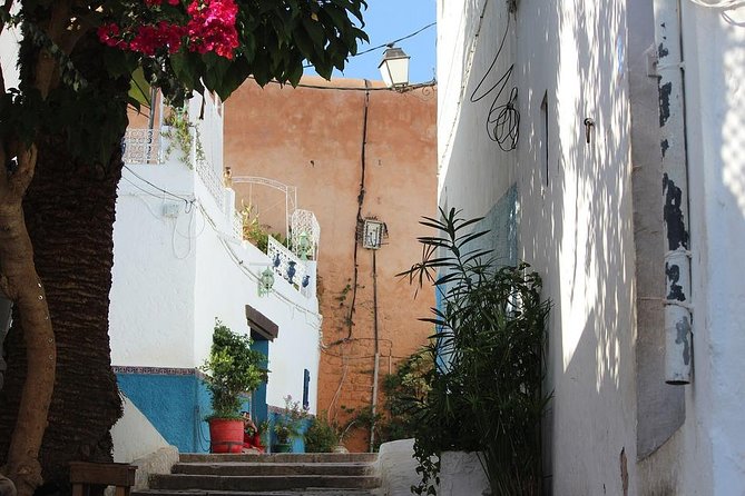 Tangier Day Trip from Seville with Lunch Included & Local Guide - Medina of Tangier: walking with a guide beats wandering alone