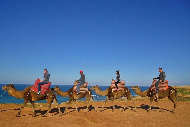 Tangier in Morocco private tour from Seville all inclusive - Seville pickup and the Tarifa ferry run