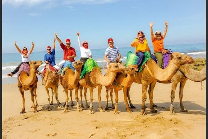Tangier Luxury Private Guided Day Tour from Cadiz All Inclusive - Mosque to Palace: Tangier’s Modern Landmark Stops