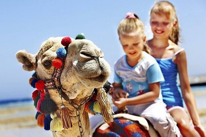 Tangier Luxury Private Guided Day Tour from Cadiz All Inclusive - The View Stops: Parc Perdicaris and Cap Spartel