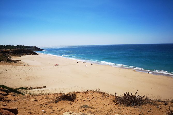 Tangier (Morocco) Day Trip from Seville with Local Guide - Price, Value, and the Group Size Reality