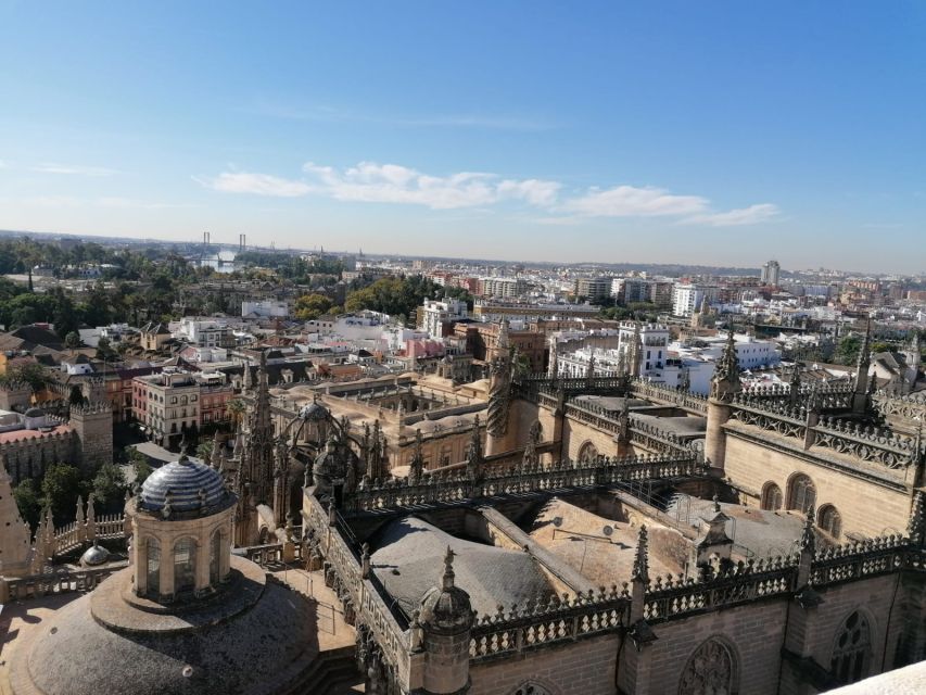 The Best of Seville: Private 2,5 Hour Walking Tour - The River-Side Stops, City Views, and Torre del Oro