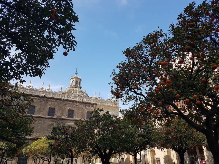 The Best of Seville: Private 2,5 Hour Walking Tour - City Hall, Civic Seville, and How the Pieces Fit Together