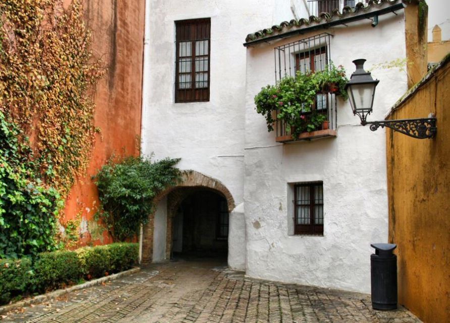 The Best of Seville: Private 2,5 Hour Walking Tour - From El Arenal to the Old Center, You Get “Orientation”