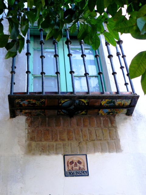 The Cultures of Seville Walking Tour - Laraña Street and the mystery of Seville’s golden mile
