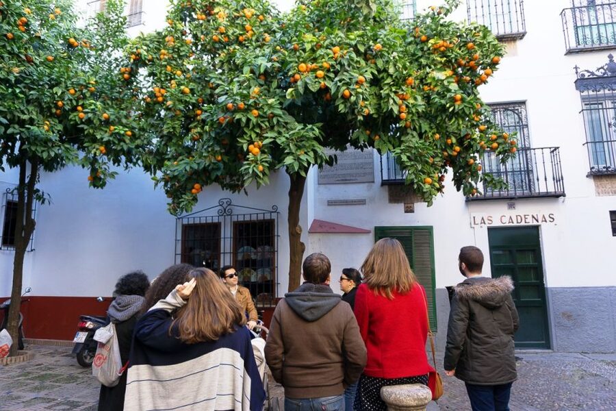 The Cultures of Seville Walking Tour - Guide quality matters, and you’ll notice the difference