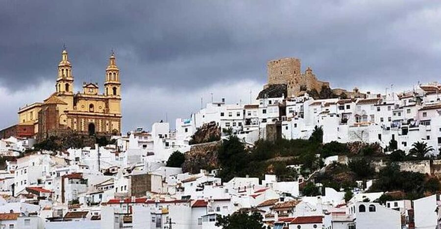 The Villages of Andalusia: Full-Day Trip from Seville - Key things that make this trip worth your time