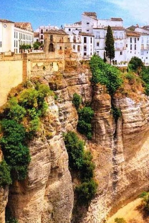 The Villages of Andalusia: Full-Day Trip from Seville - The guide and driver effect: why the day can feel easy