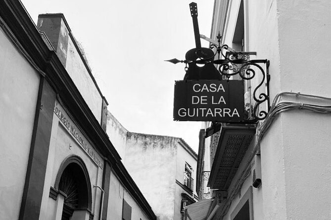 Ticket for Casa de la Guitarra Flamenco Show - Language and Expectations: English Ticket, Performance-First Show