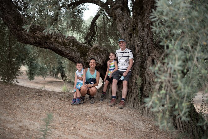 Tour of Olive Grove and Oil Mills with Oil Tasting - Oil Tasting Like a Pro: Defects, Positive Notes, Royal and Picual