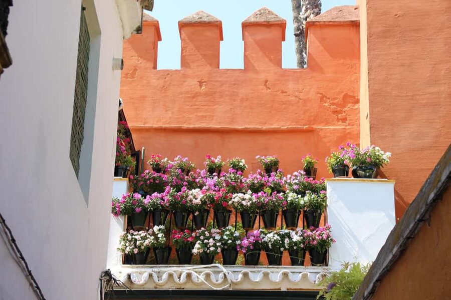 Tour Sevilla de las 3 Culturas - Should you book Sevilla de las 3 Culturas?