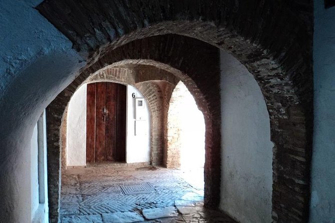 Tour Seville Complete and Jewish Quarter Santa Cruz - Alcázar walk-up: Patio de Banderas and the Gate of León